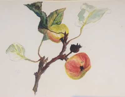 Suzy Woodhouse Contart Details, Wynnum, Brisbane