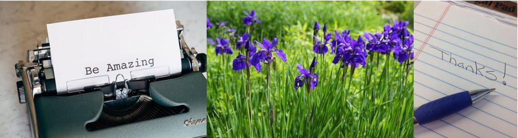 Testimonials -Suzy Woodhouse