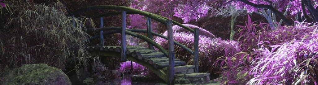 Suzy Woodhouse using Hypnotherapy to help people